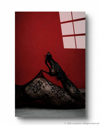 Lace & Red