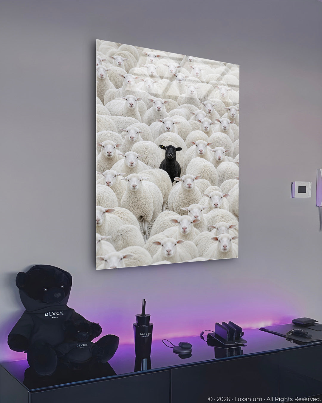 Lone Black Sheep