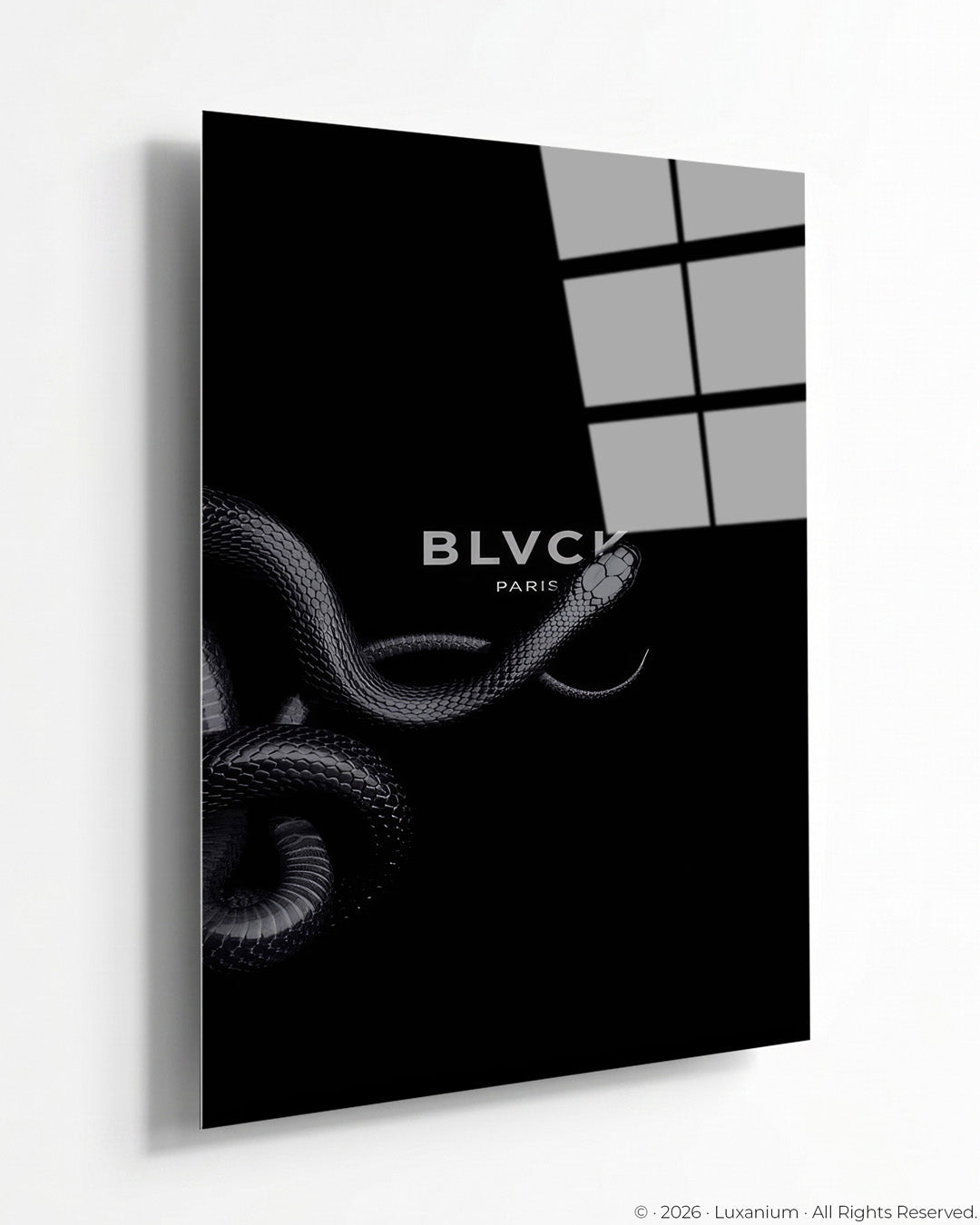 Blvck Paris Snake
