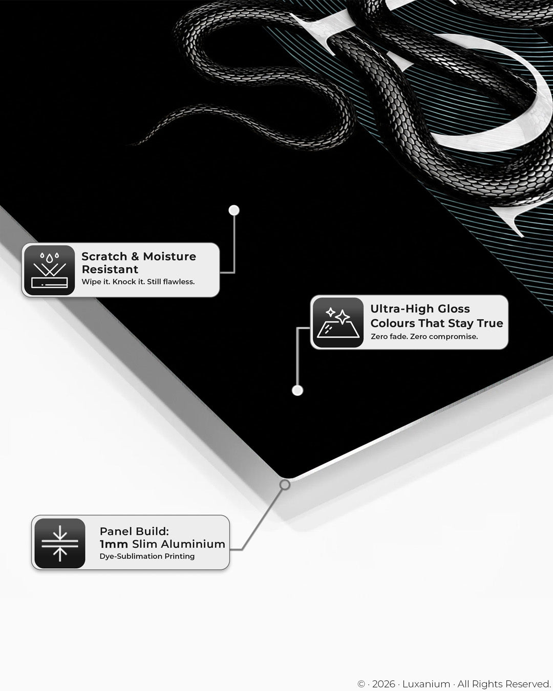 Dior Dark Snake