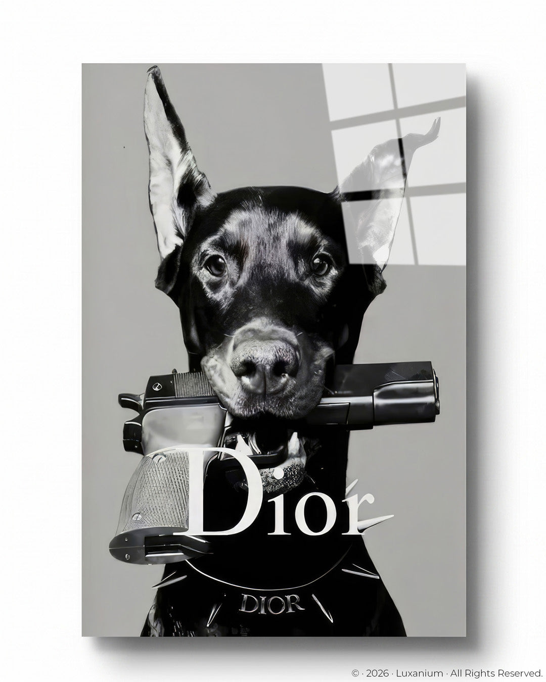 Dior Doberman Edge