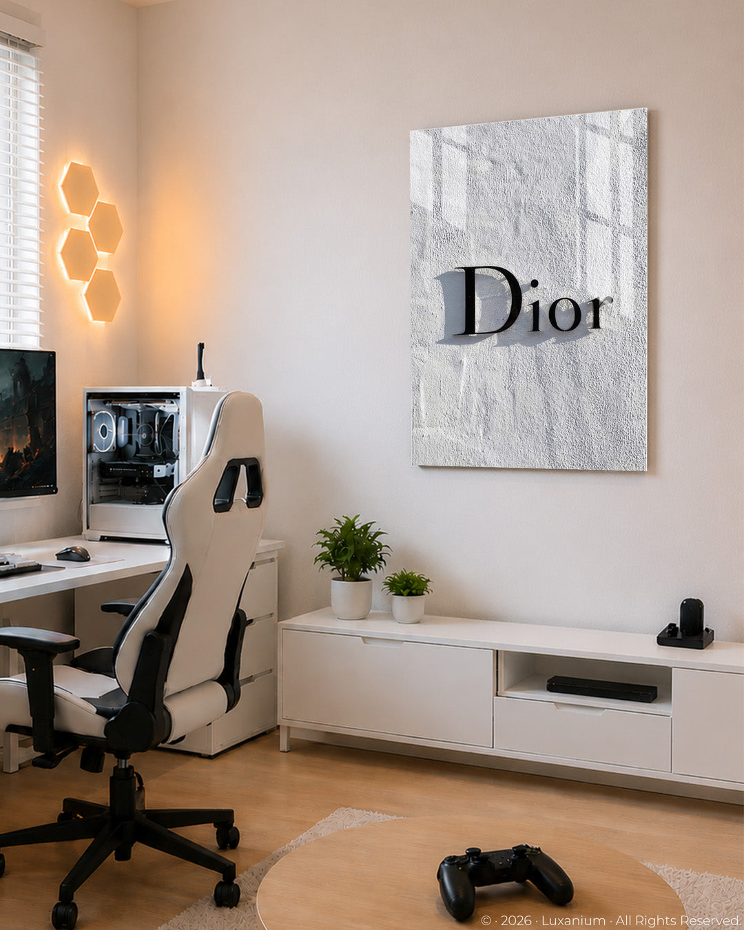 Dior Shadow Logo