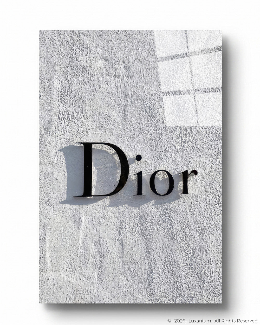 Dior Shadow Logo
