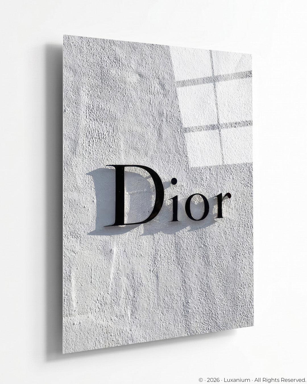Dior Shadow Logo