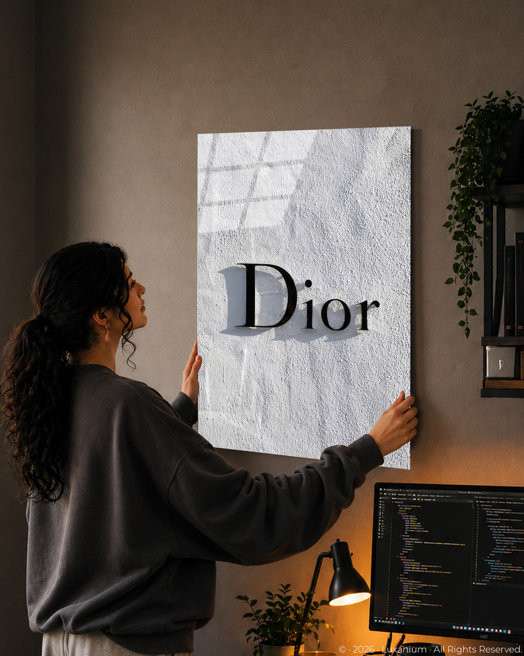 Dior Shadow Logo