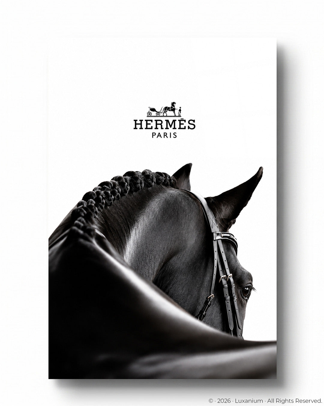 Hermès Equestrian Horse
