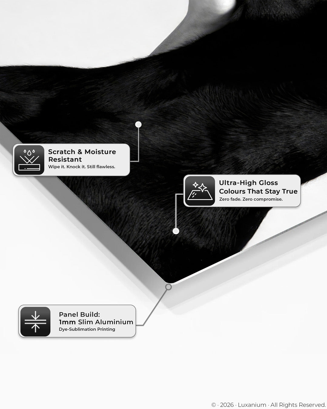 Doberman Diamond Rings