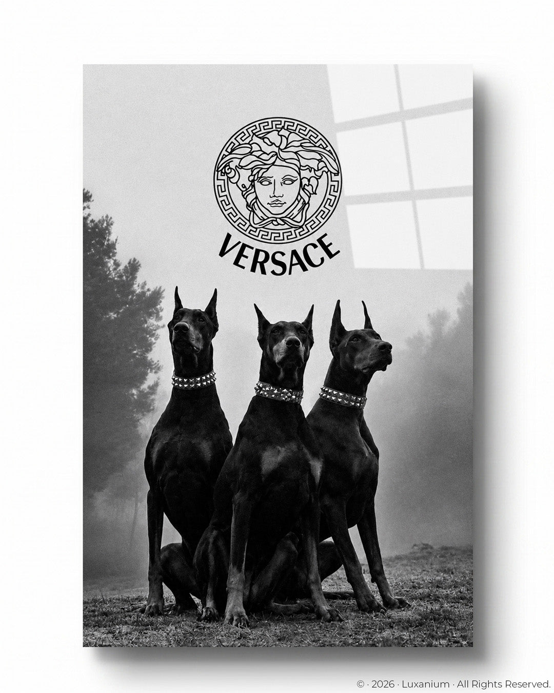 Versace Fashion Dogs