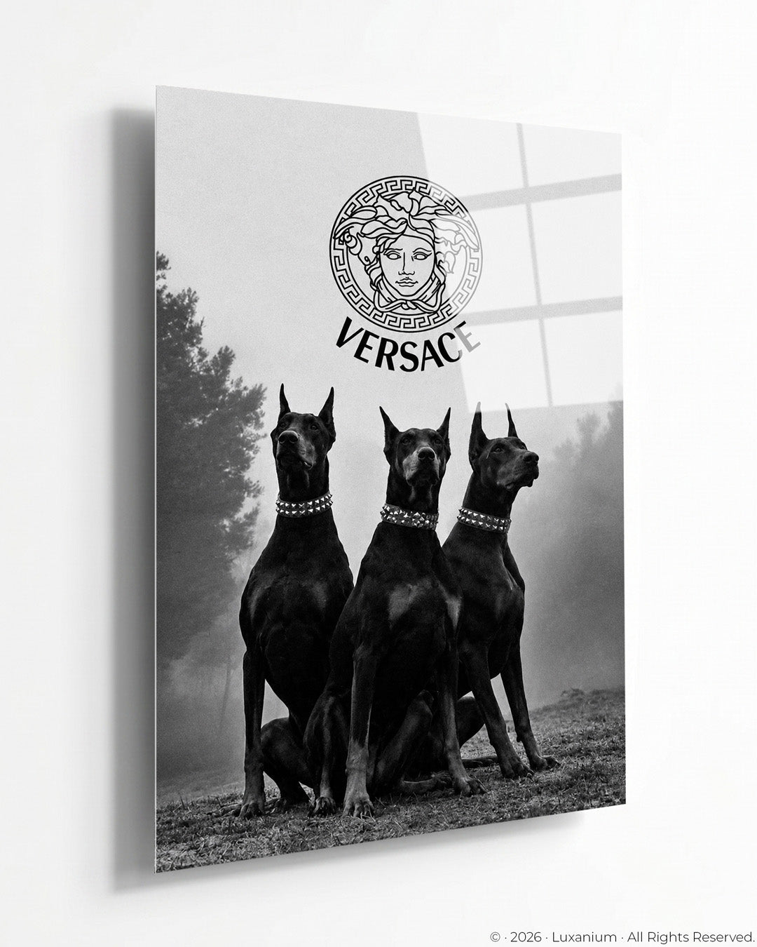 Versace Fashion Dogs