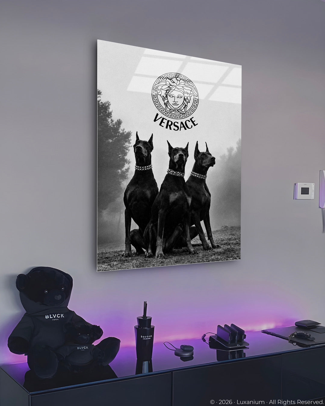 Versace Fashion Dogs