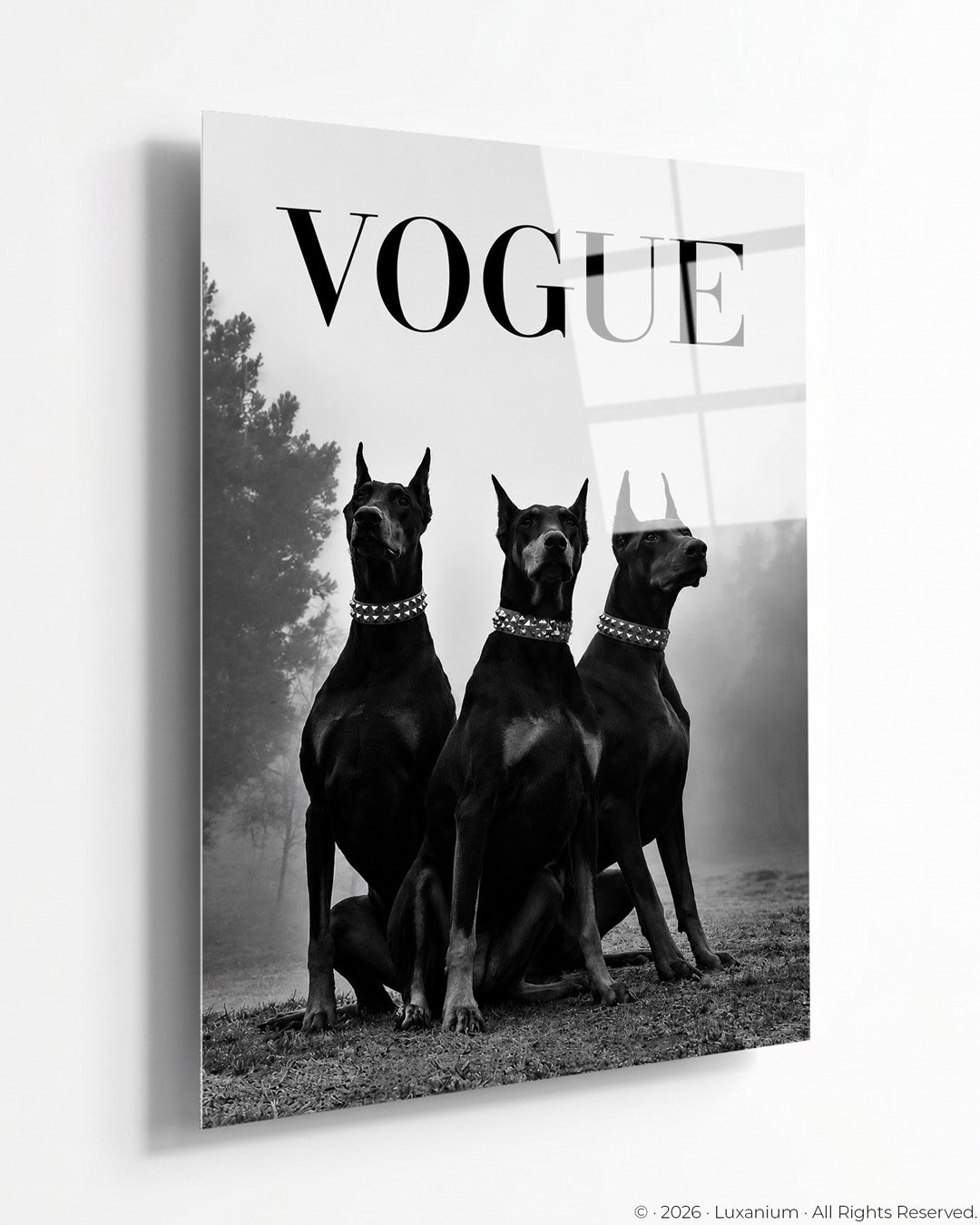 Vogue Editorial Dobermans